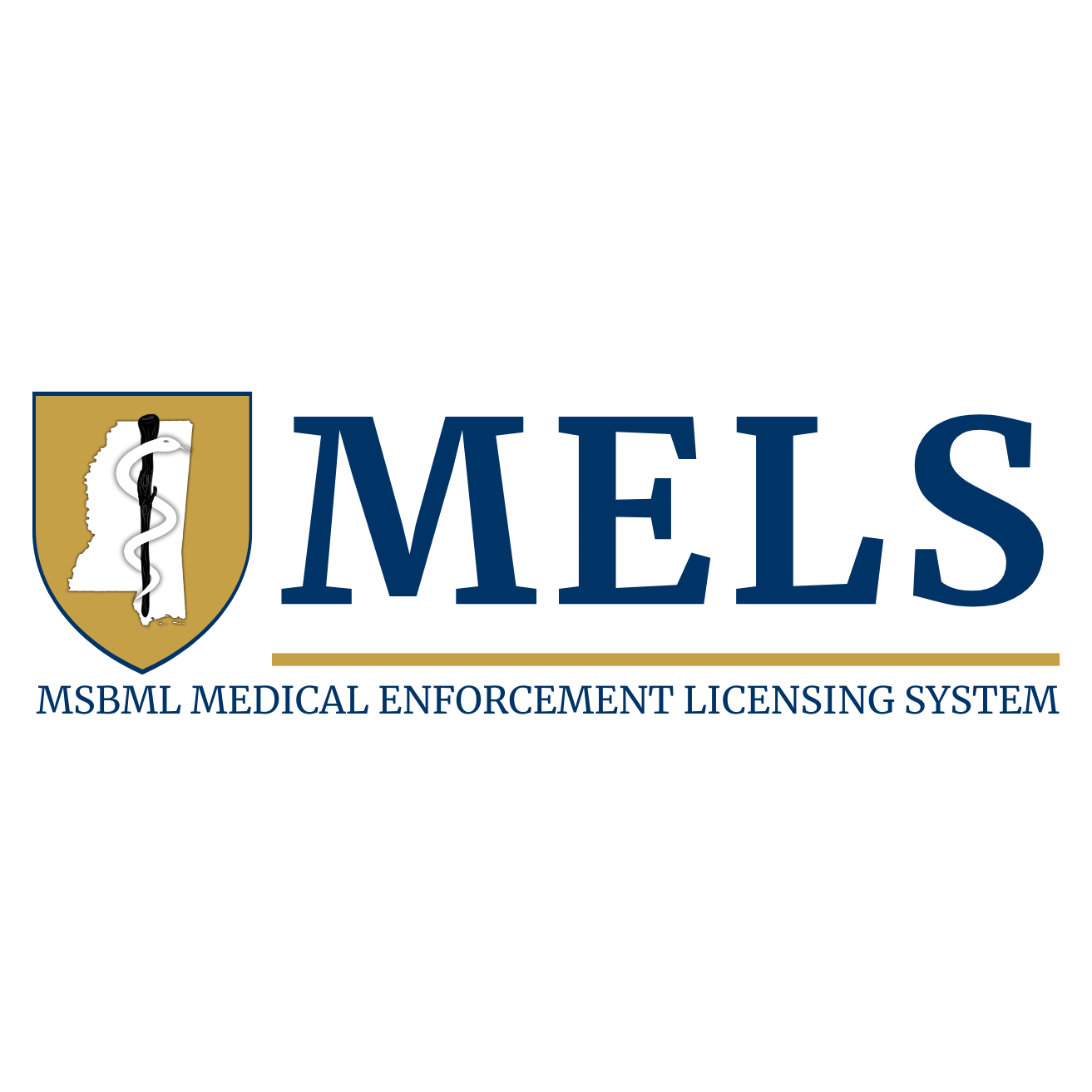 Mississippi Enforcement and Licensure System (MELS)